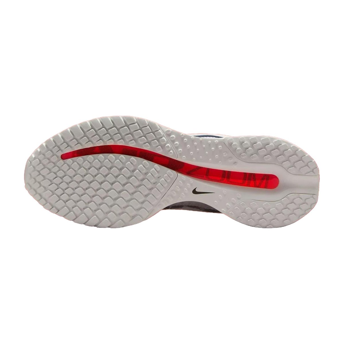 Nike Pegasus Premium