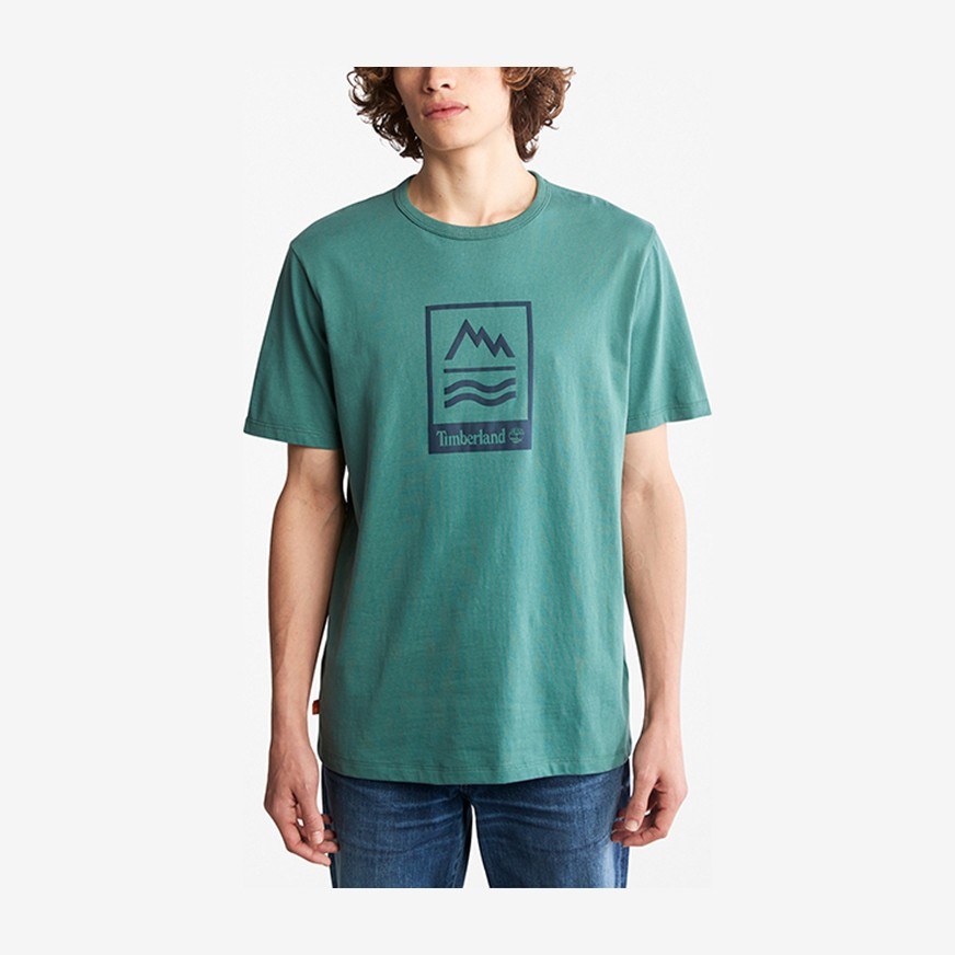 Timberland T