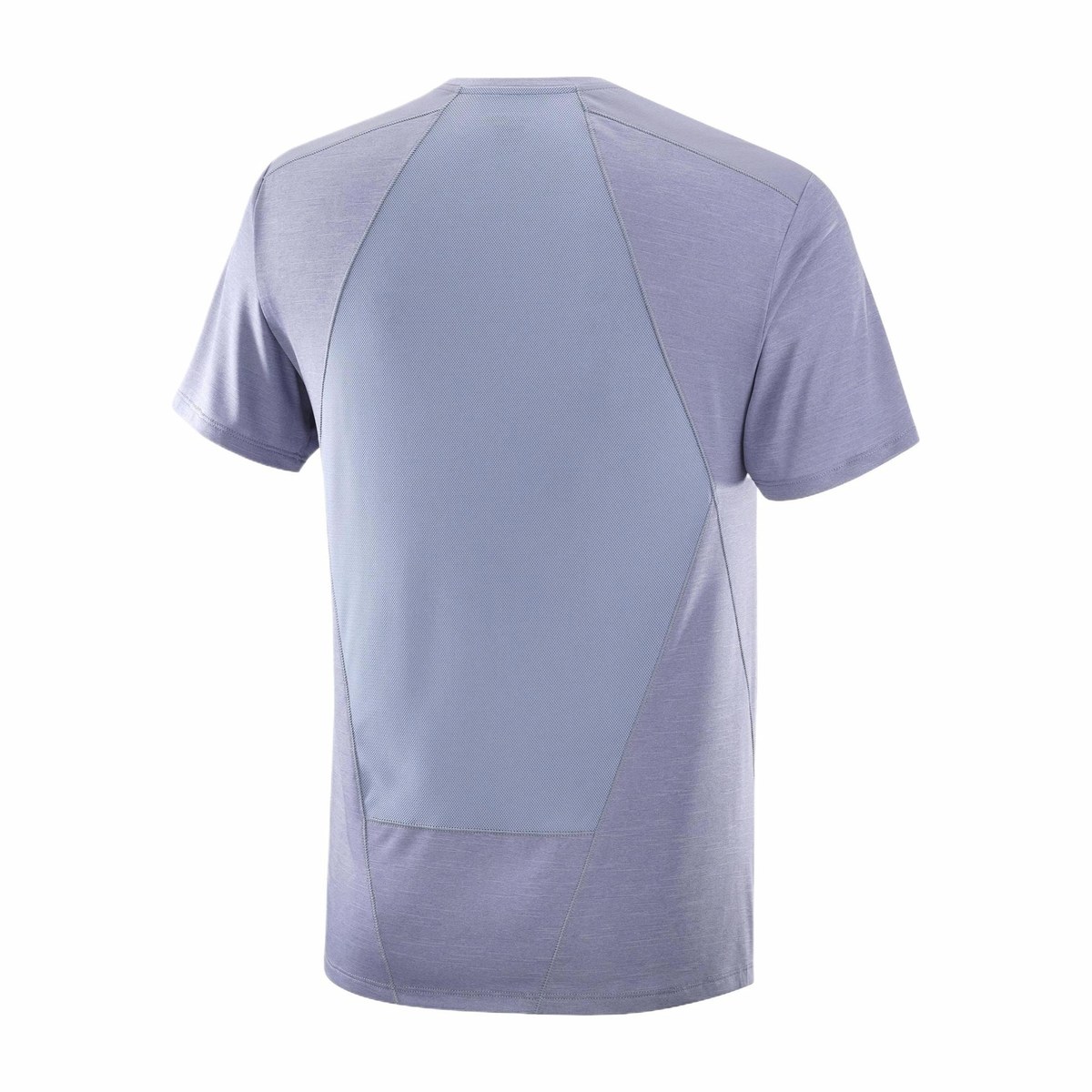 SALOMON T