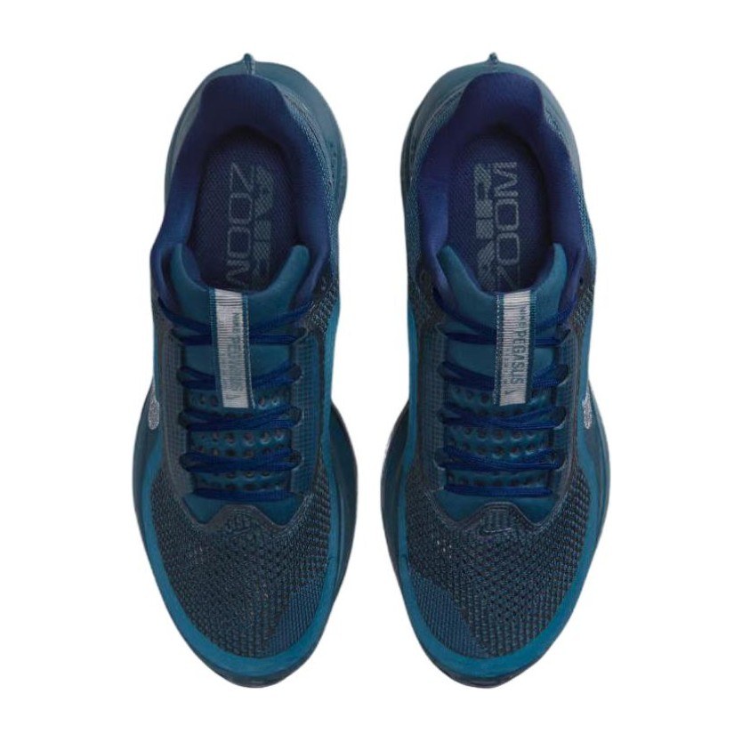 Swarovski x Nike Pegasus Premium