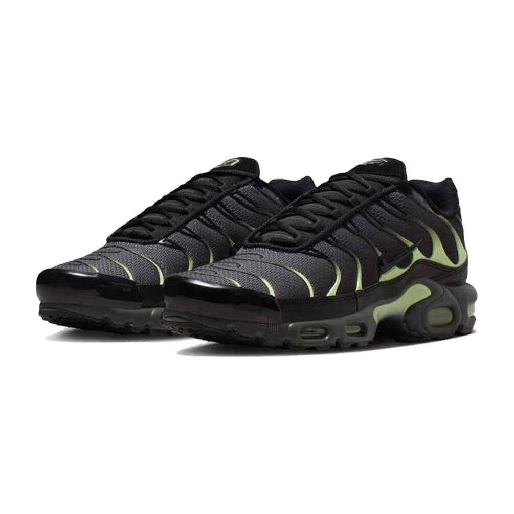 Nike Air Max Plus