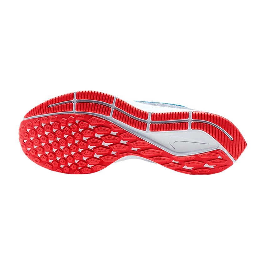 Nike Pegasus 36 JDI