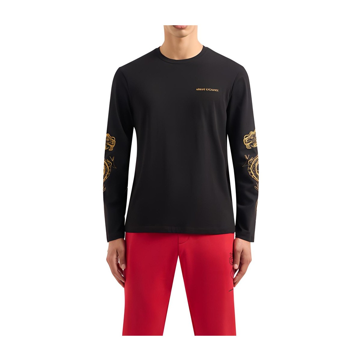 ARMANI EXCHANGE SS24 Logo