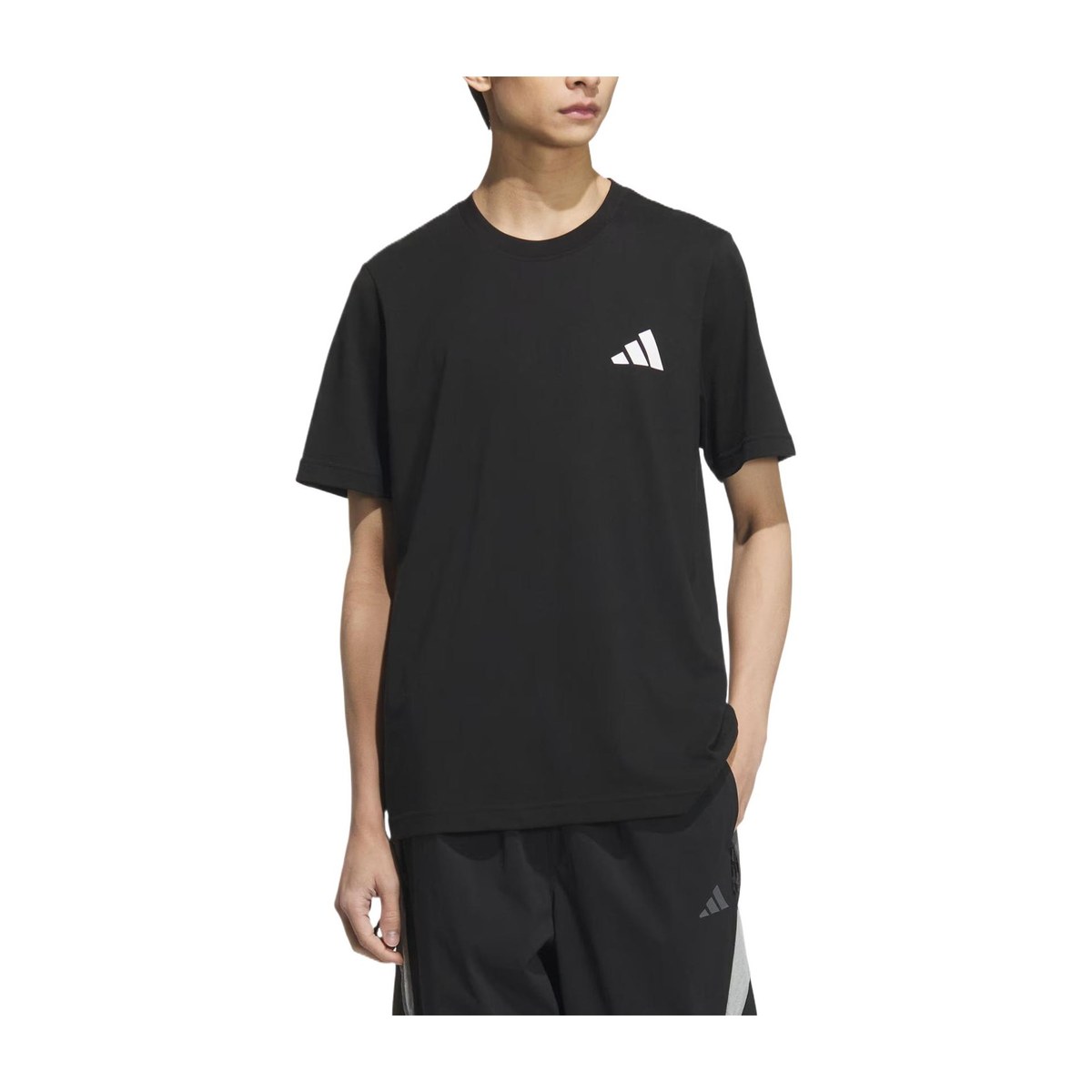 adidas GRAPHIC SHORT SLEEVE T-SHIRT T