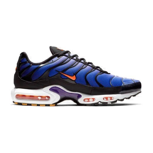 Nike Air Max Plus Midnight Purple