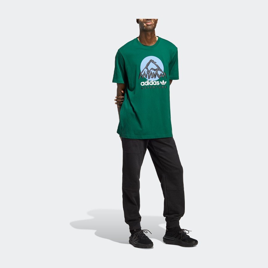 adidas originals Adv Mtn F Tee LogoT