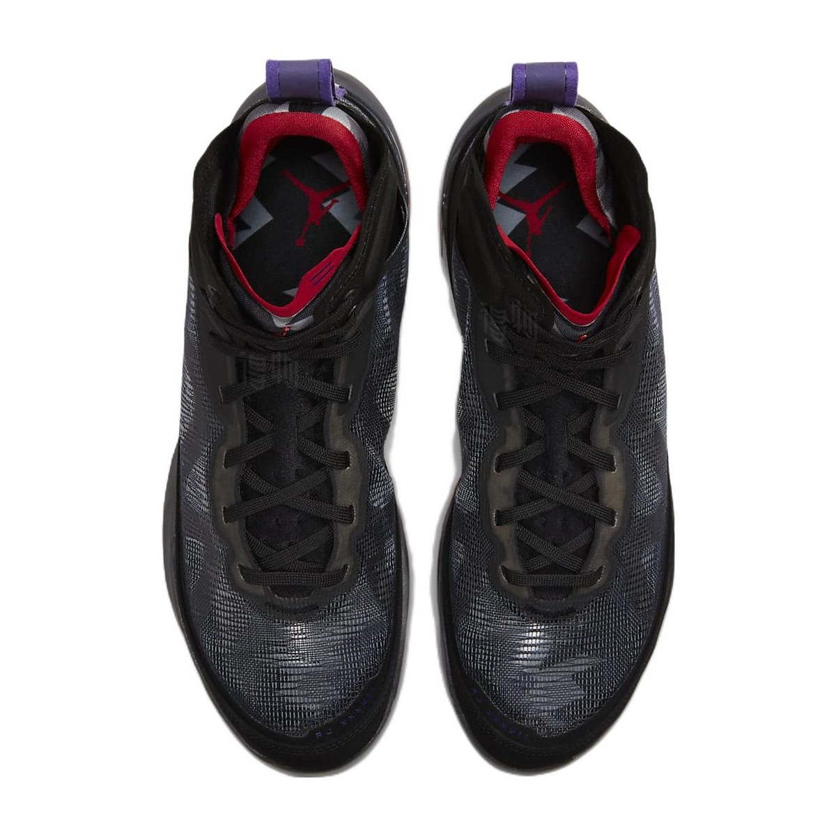 Jordan Air Jordan 37 PF "Raptors"