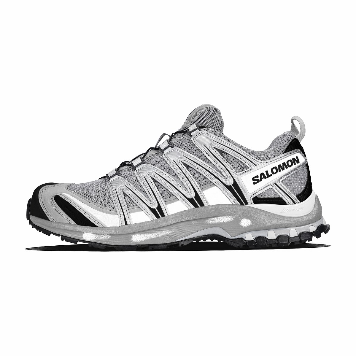 SALOMON XA PRO 3D