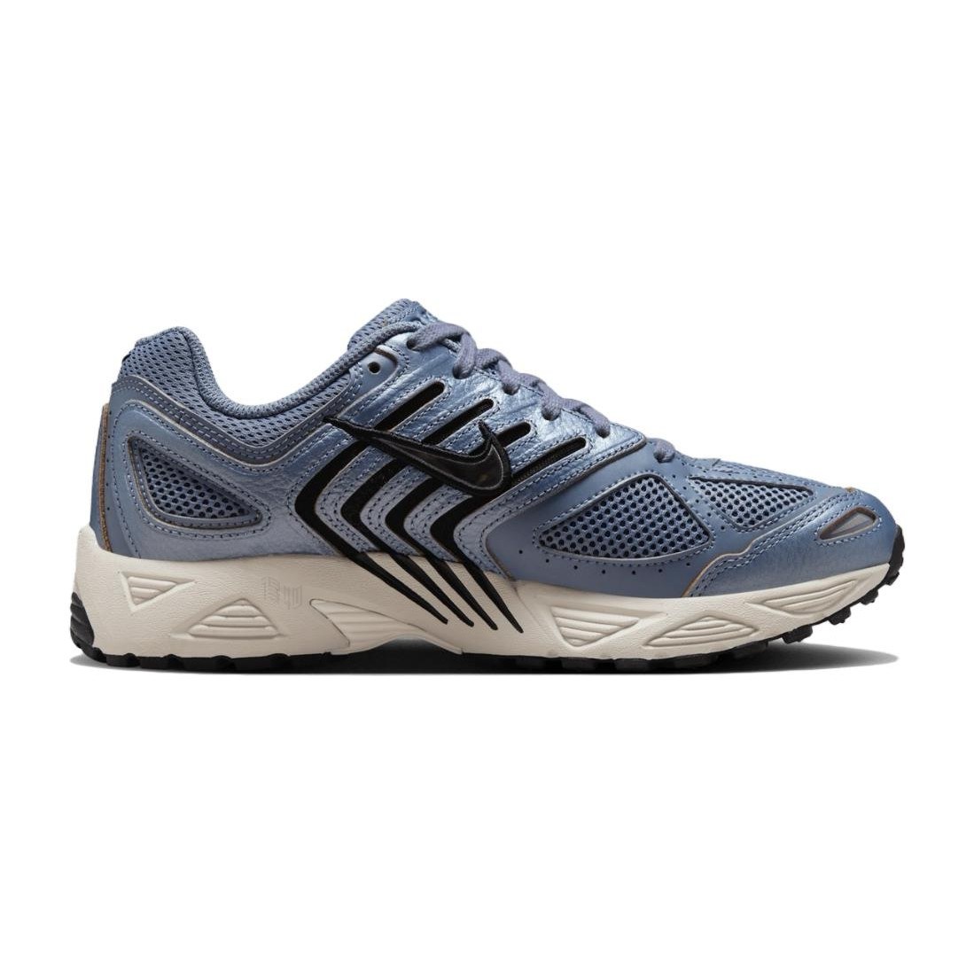 Nike Air Pegasus 2005 Blue