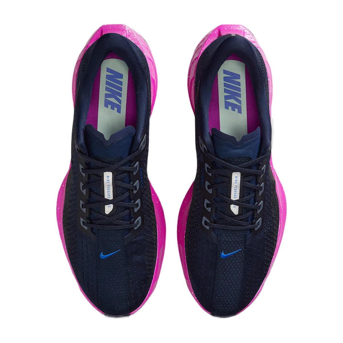 Nike Pegasus Plus