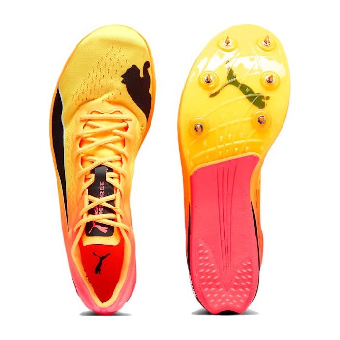 PUMA evoSPEED Long Distance