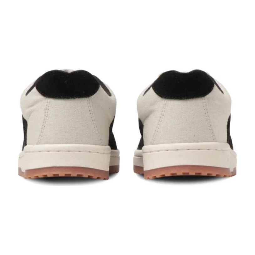 Converse Twotone Sk Ox