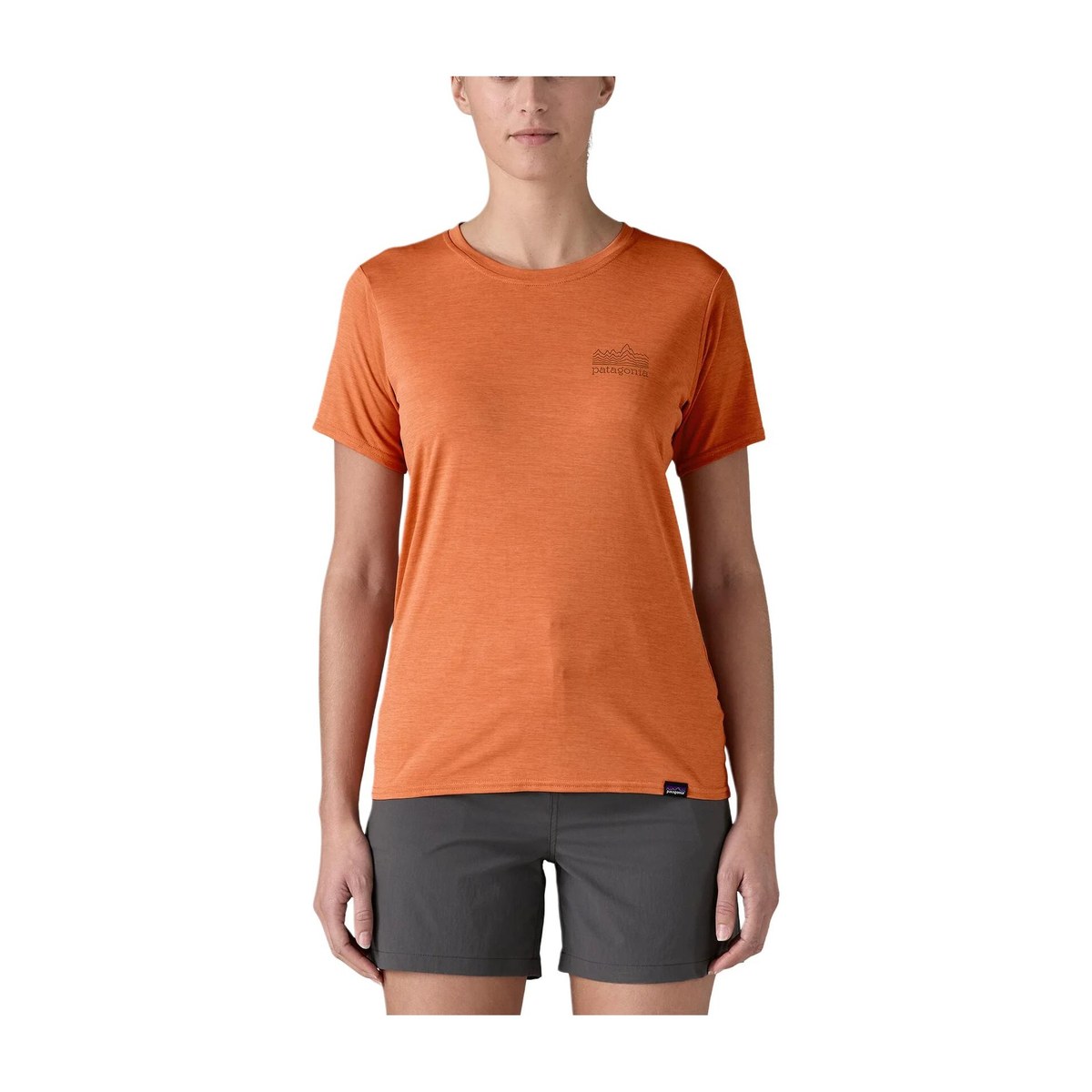 patagonia T