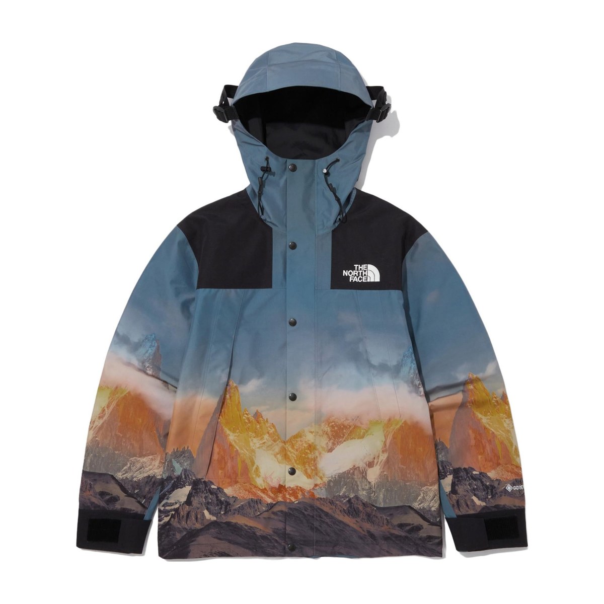 The North Face 1990 Gore-tex Mountain Vista Jacket