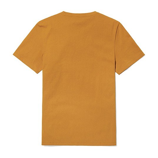 Timberland T