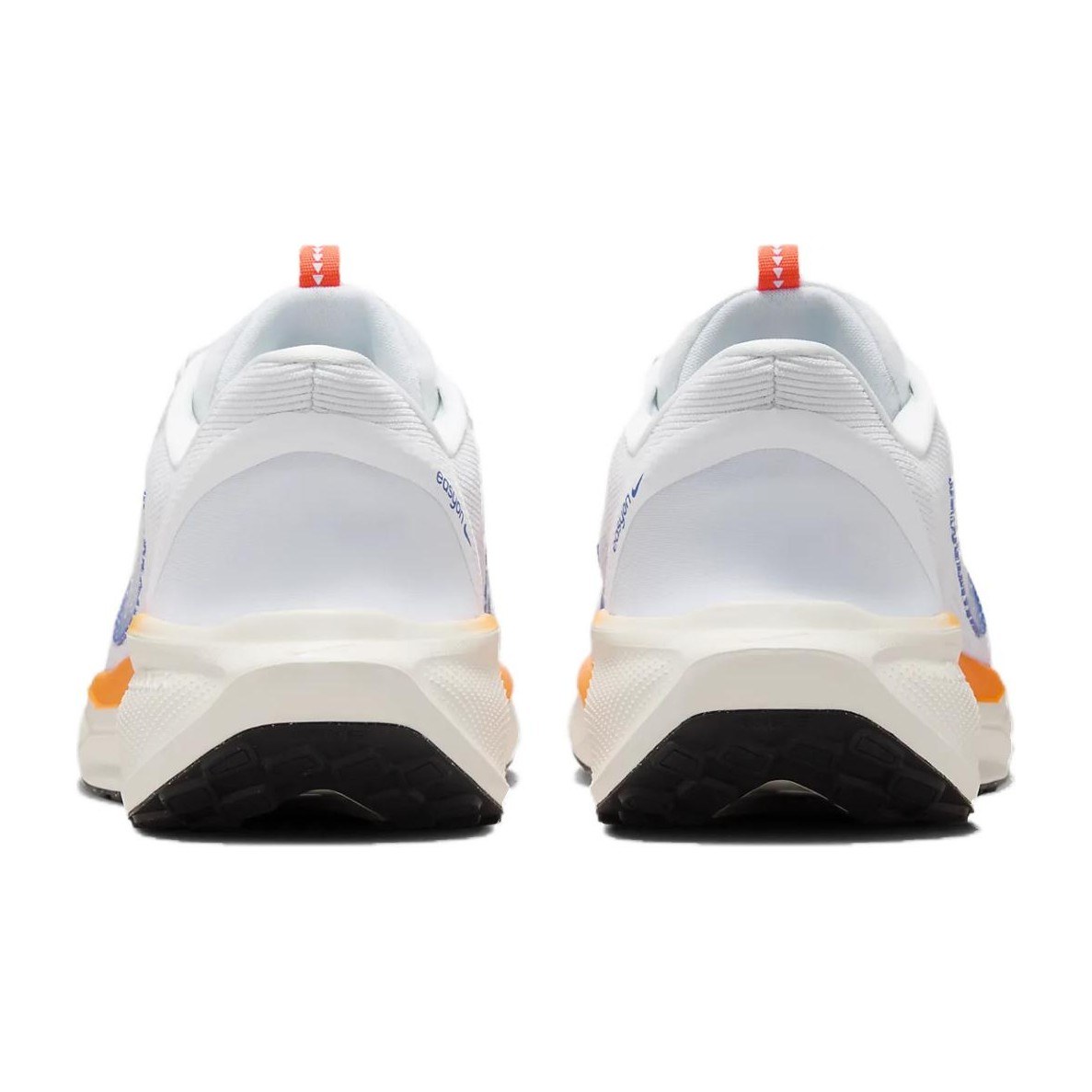 Nike Pegasus Ezion Blueprint