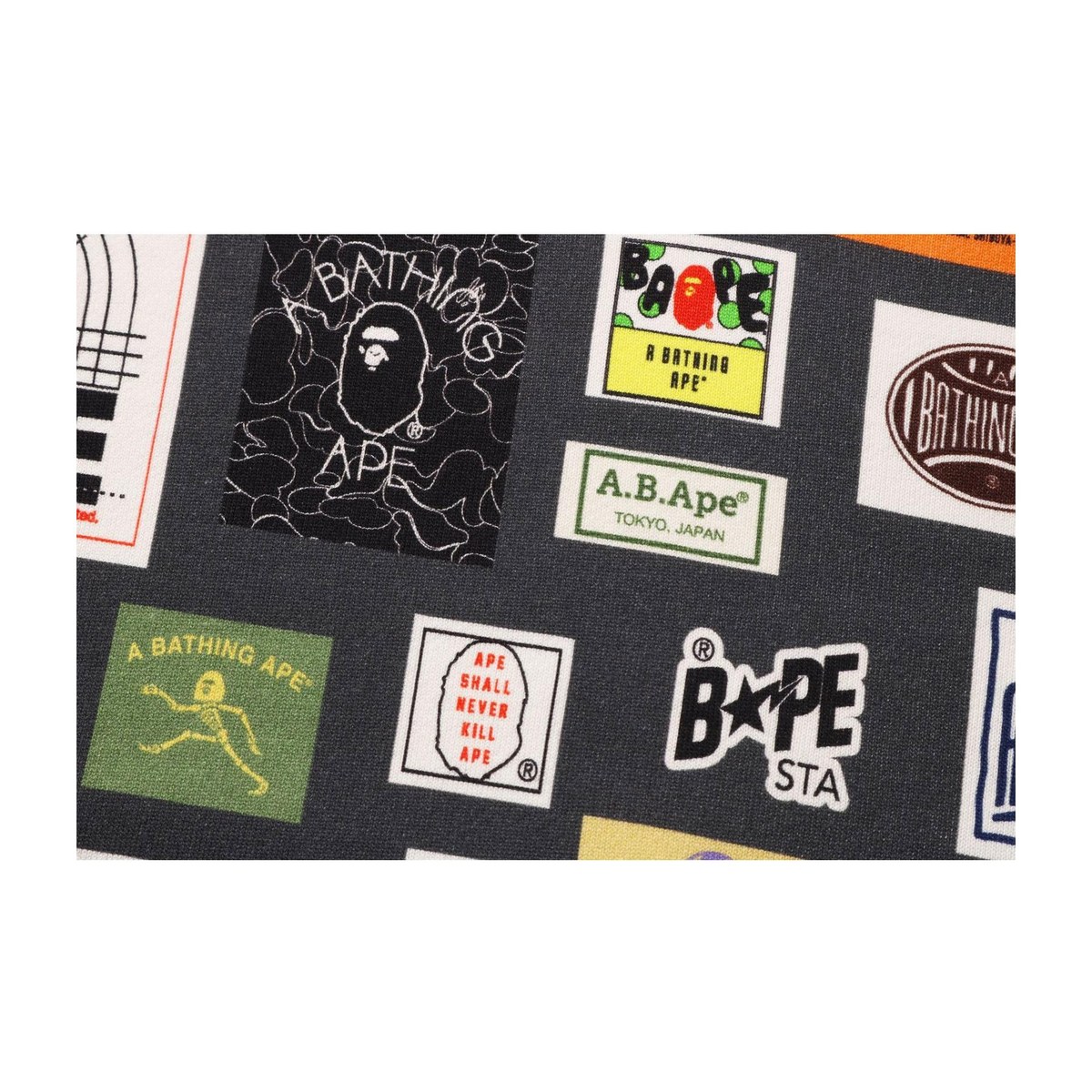 BAPE FW22 Logo Hoodie