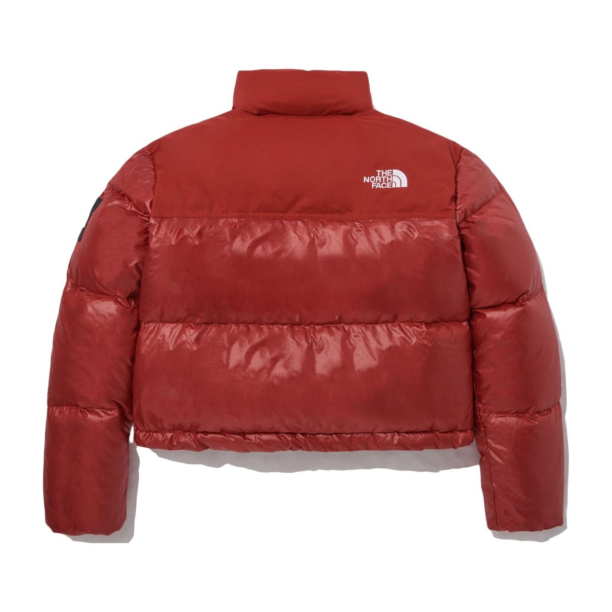The North Face Novelty Nuptse Down Jacket