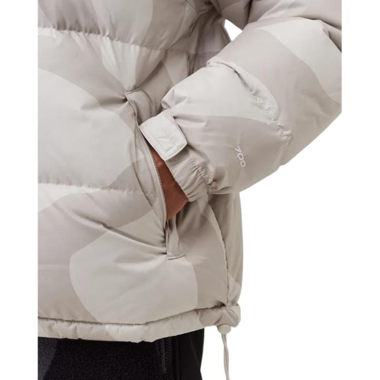 THE NORTH FACE TNF x KAWS FW22 logo
