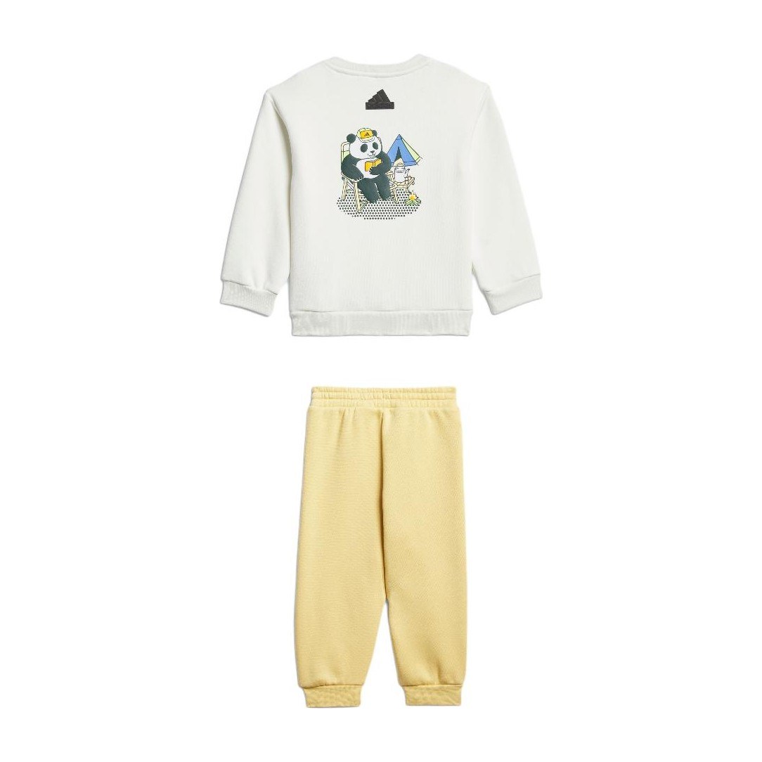 adidas Sportswear FW24 CREW TRACKSUIT logo