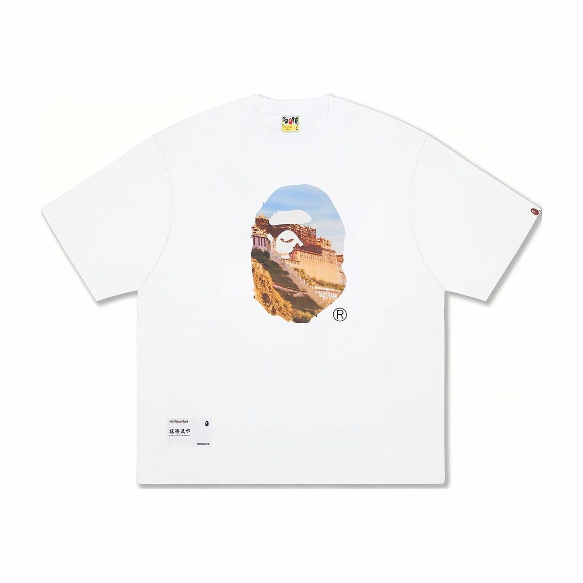 BAPE SS23