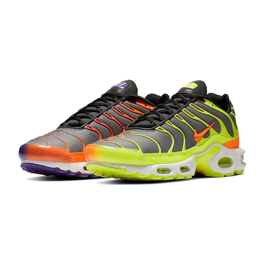 Nike Air Max Plus Color Flip