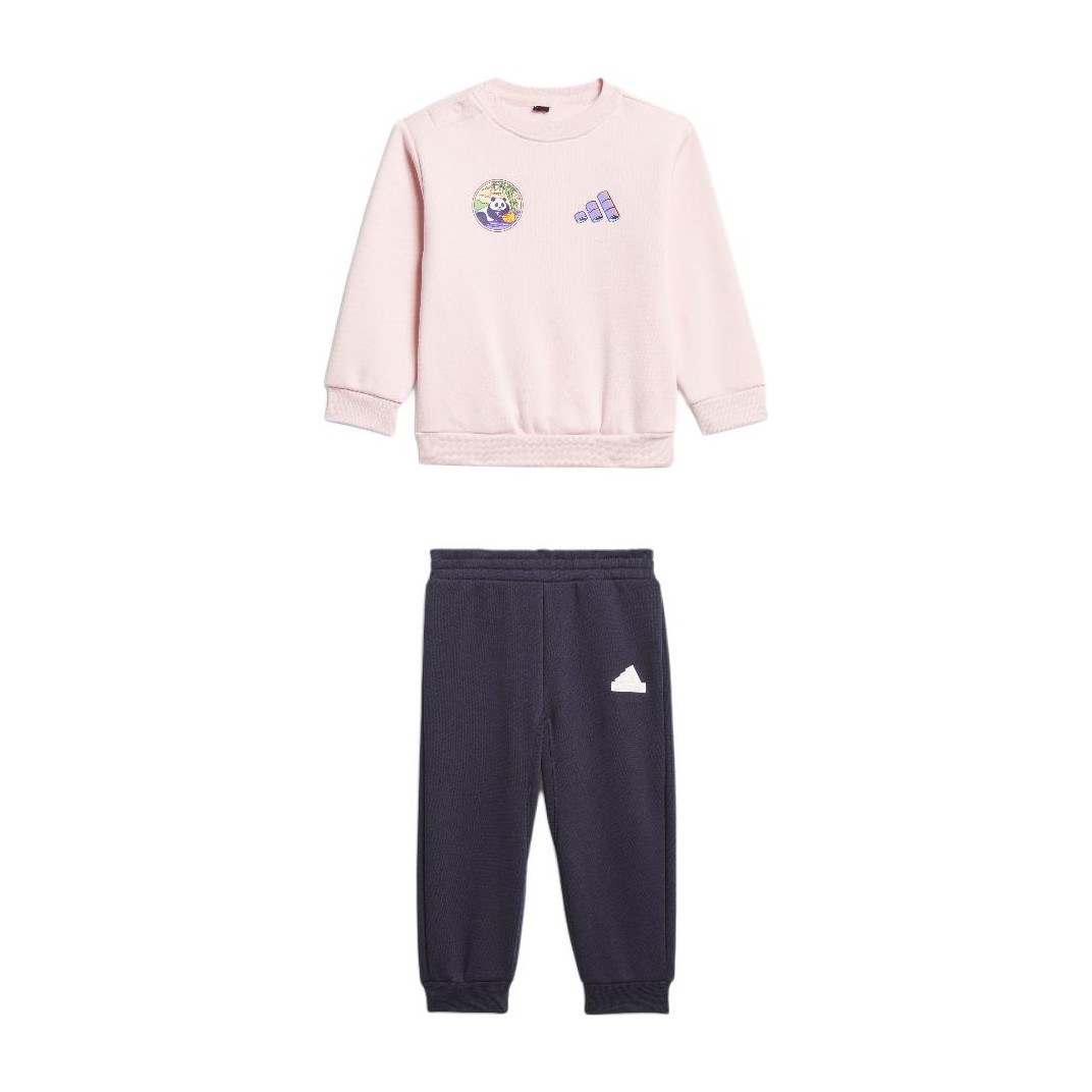 adidas Sportswear FW24 CREW TRACKSUIT