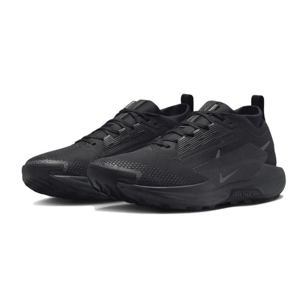 Nike Pegasus Trail 5 GORE-TEX
