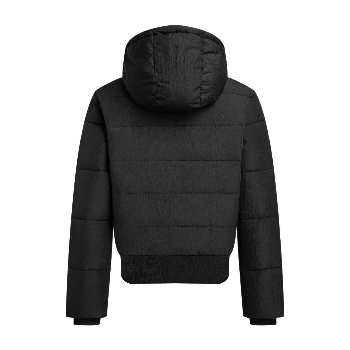 ARMANI EXCHANGEAE FW24