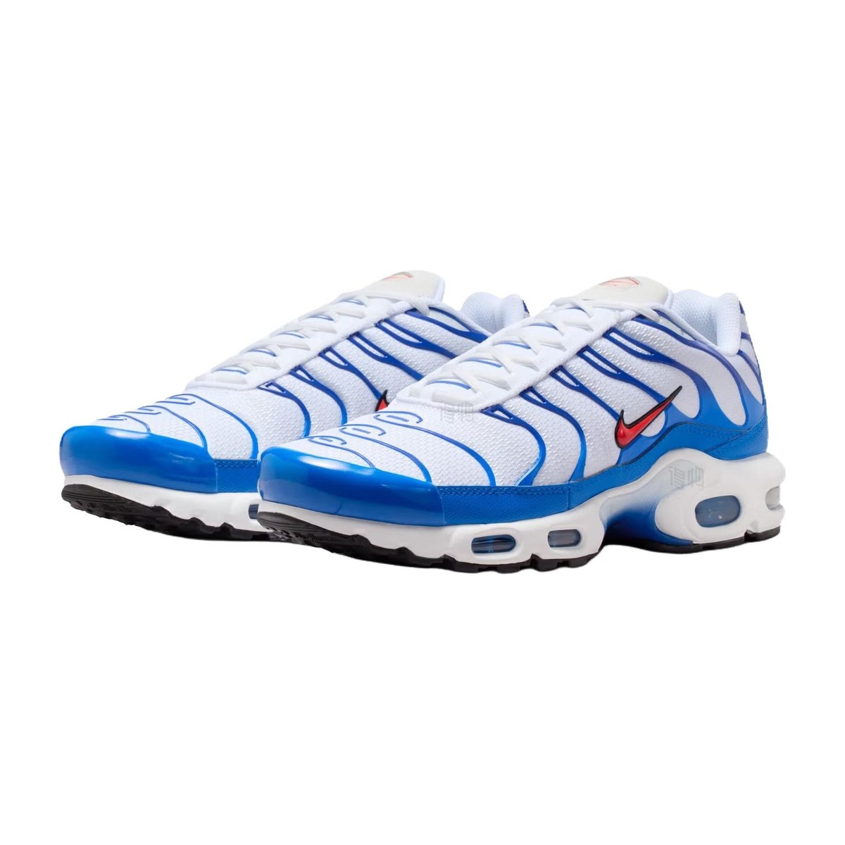 Nike Air Max Plus