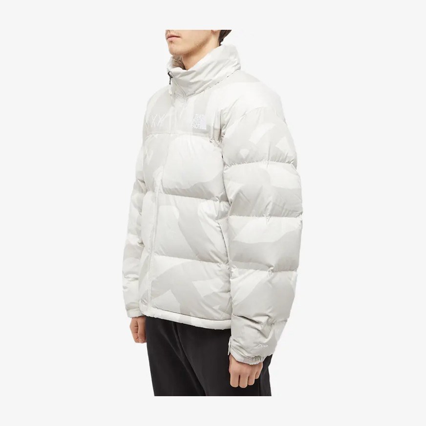 THE NORTH FACE TNF x KAWS FW22 logo