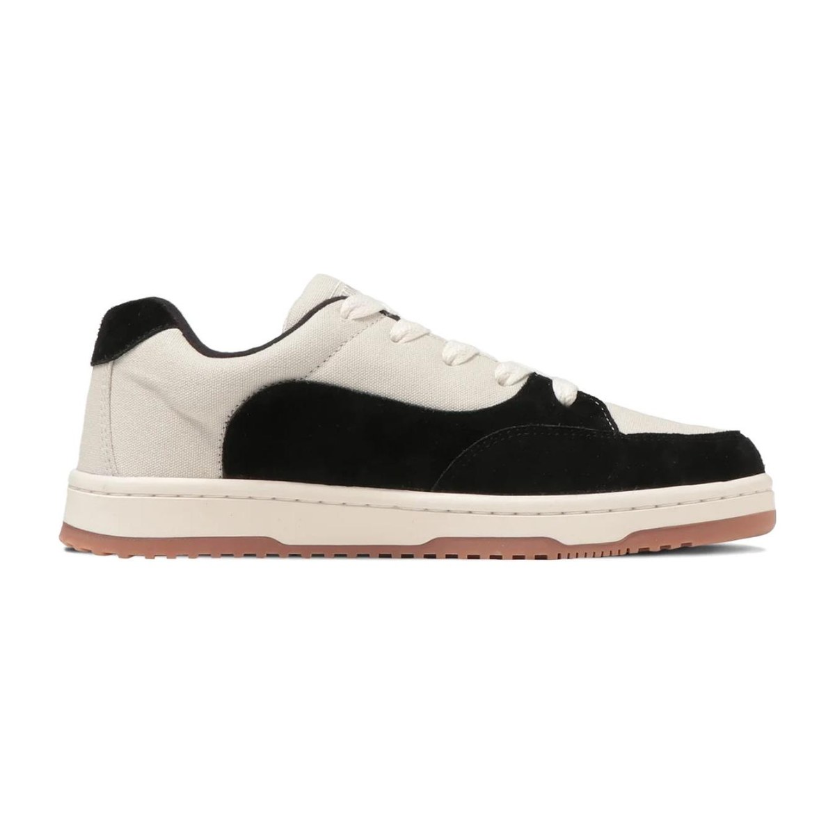 Converse Twotone Sk Ox