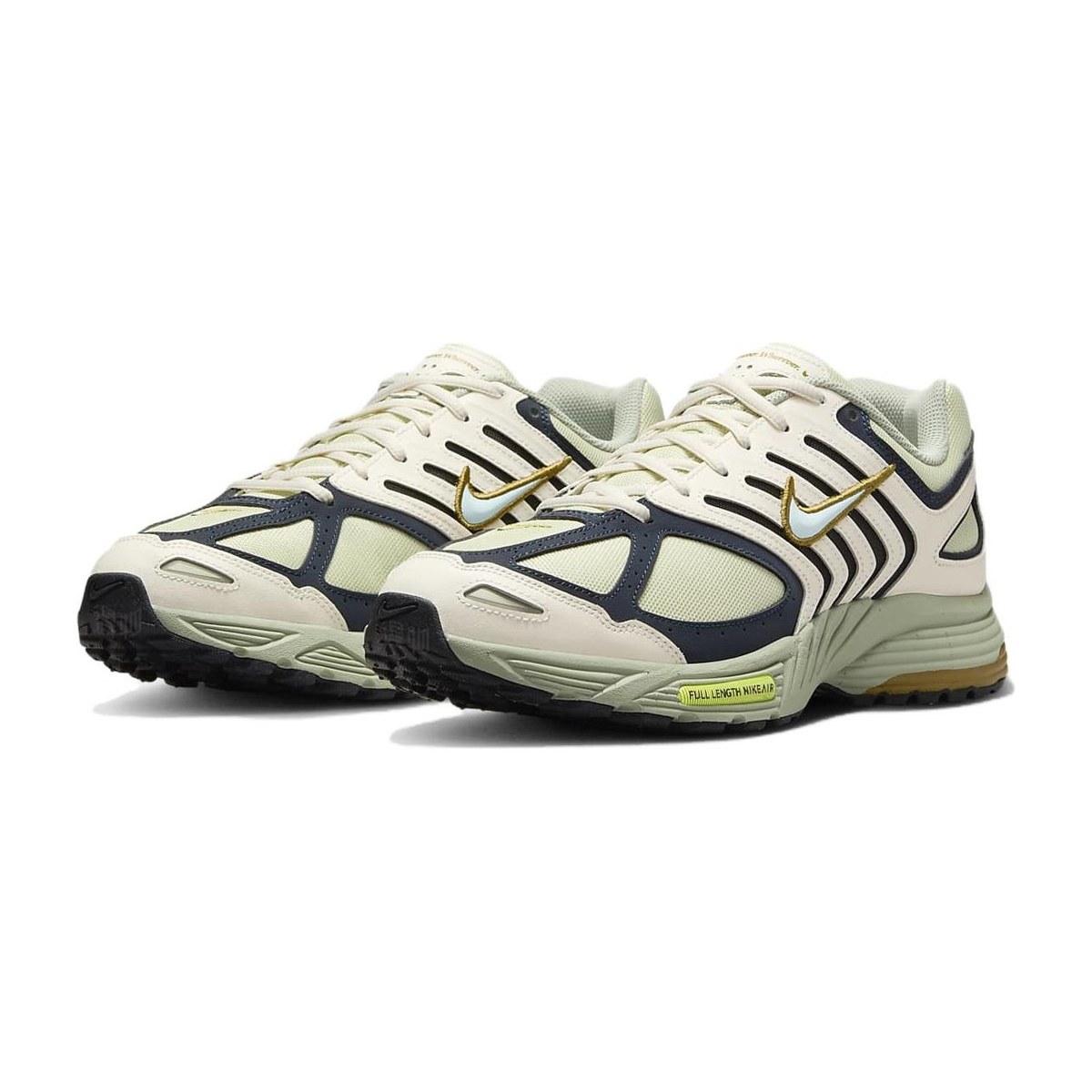 Nike Air Pegasus 2005
