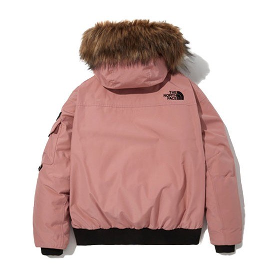 The North Face Eco Polar Air Down Jacket