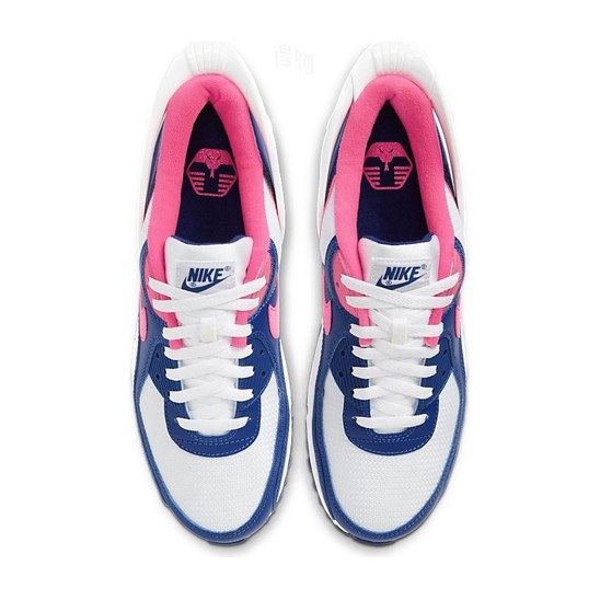 Nike Air Max 90 FlyEase Blue Pink