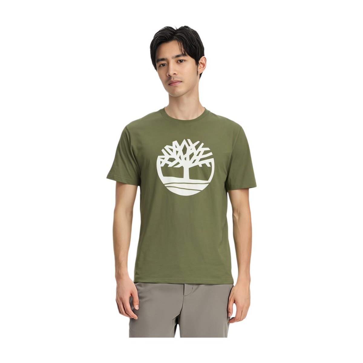 Timberland T