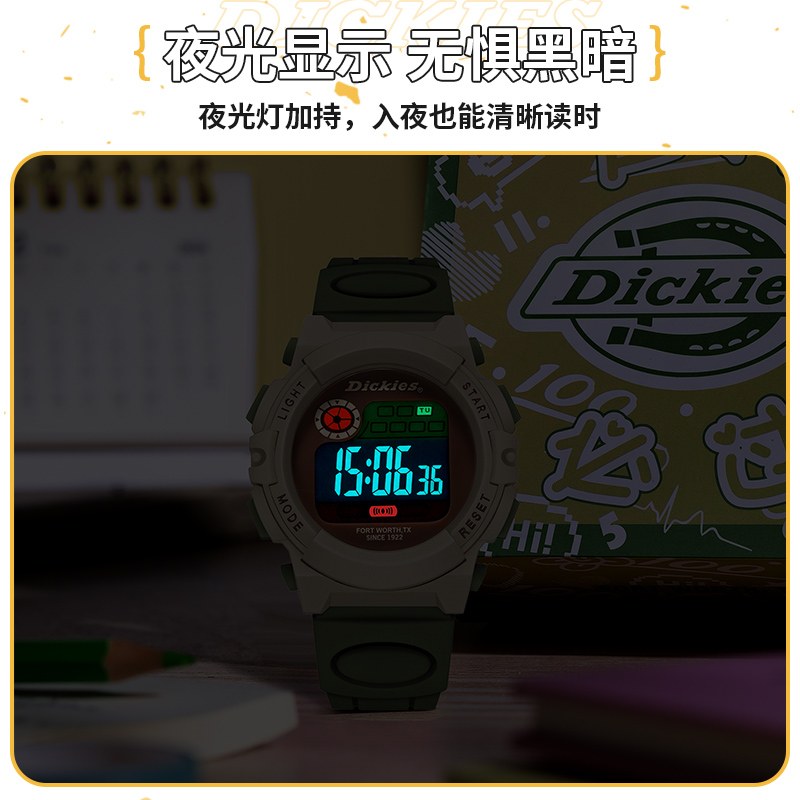 Dickies CL-678