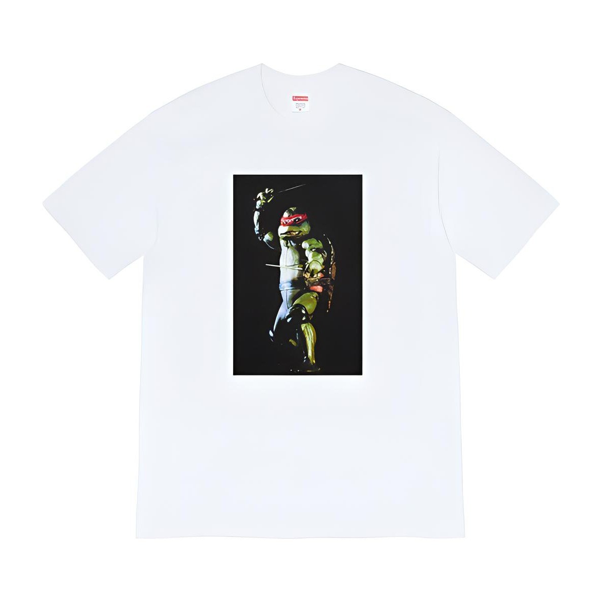 Supreme Raphael Tee