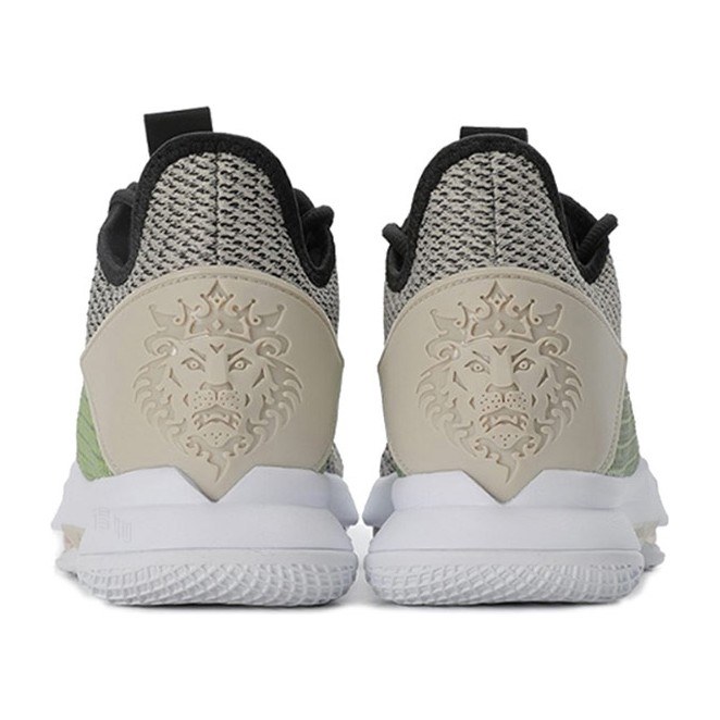 Nike Witness 4 LeBron EP