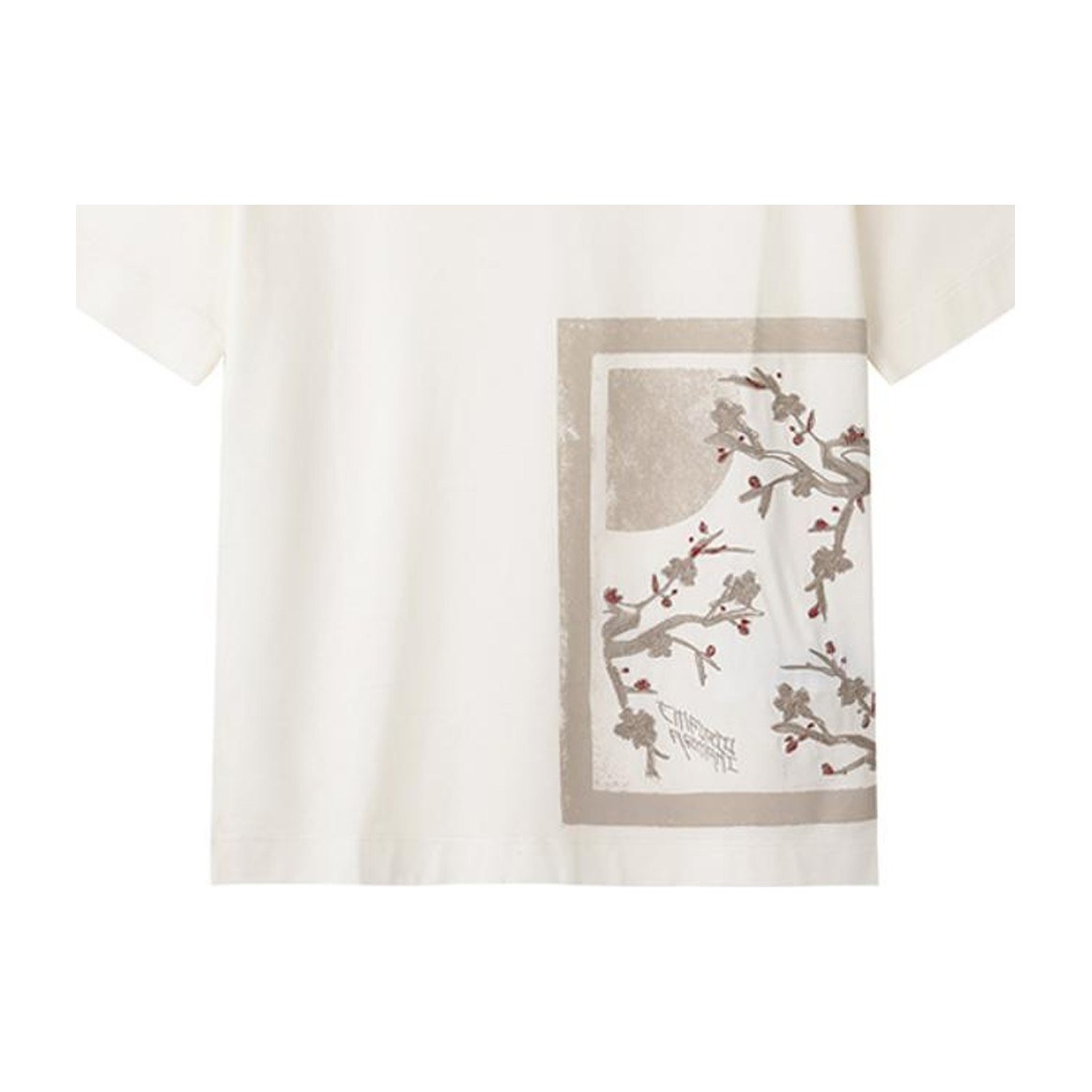 Emporio Armani SS24 T-Shirt