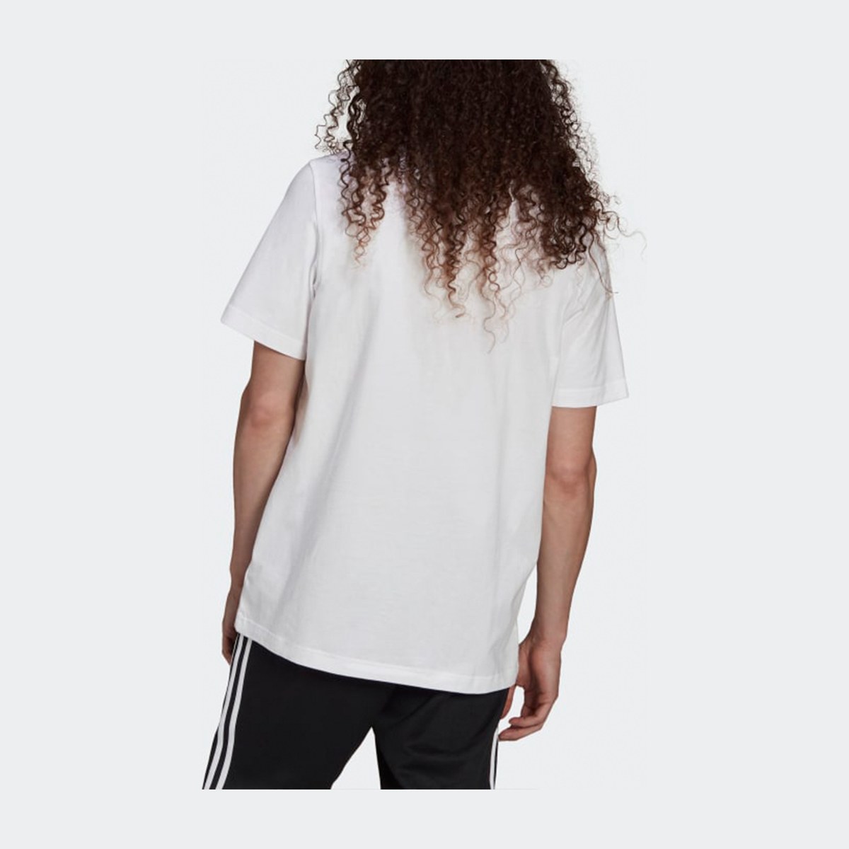 adidas originals Adicolor Classics LogoT