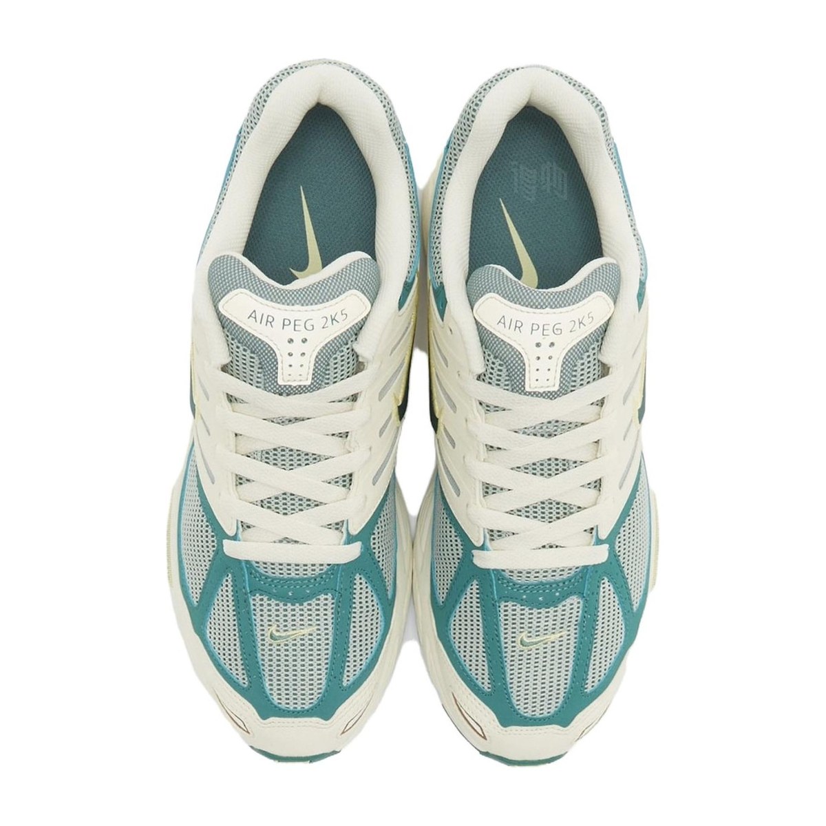 Nike Air Pegasus 2K5