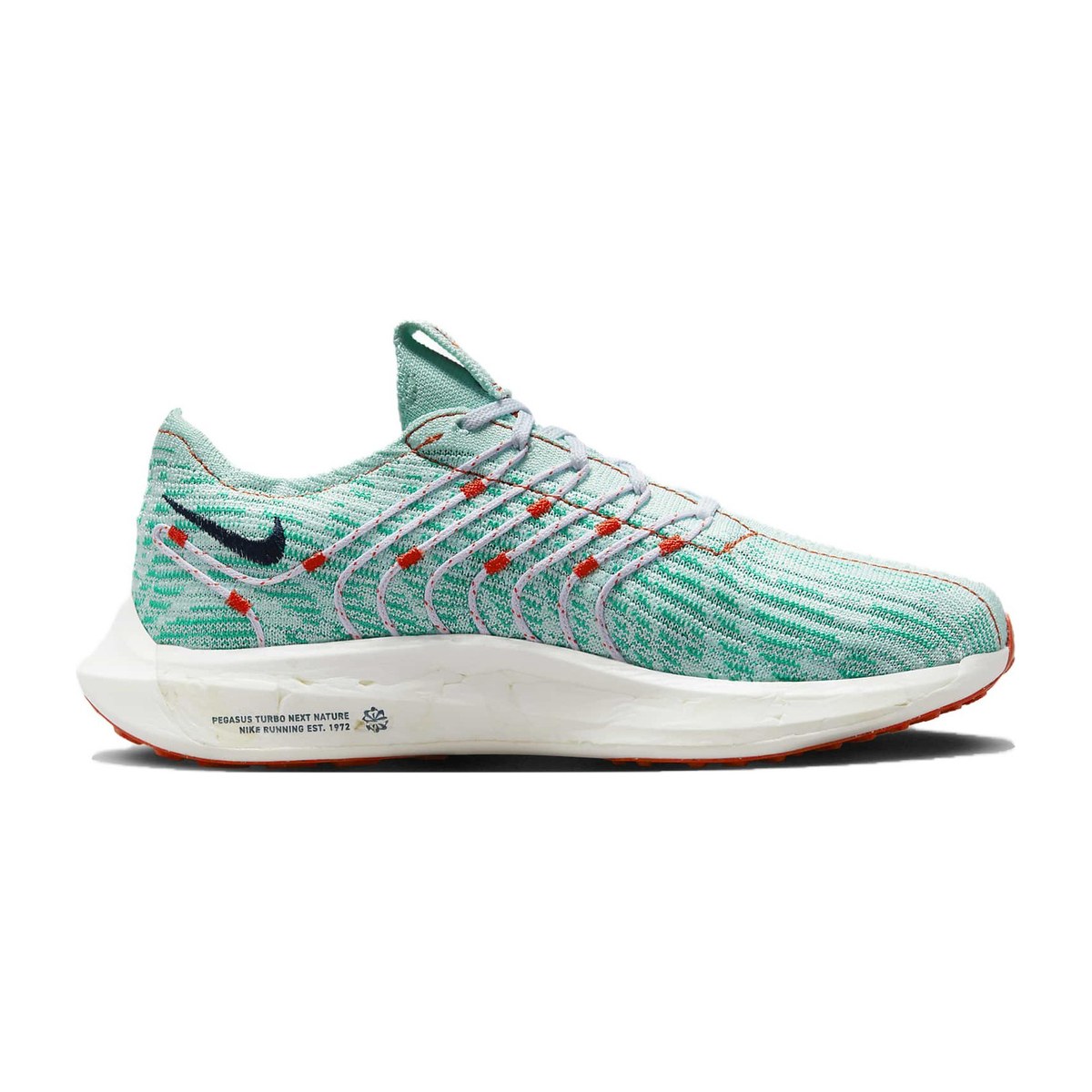 Nike Pegasus Turbo 1