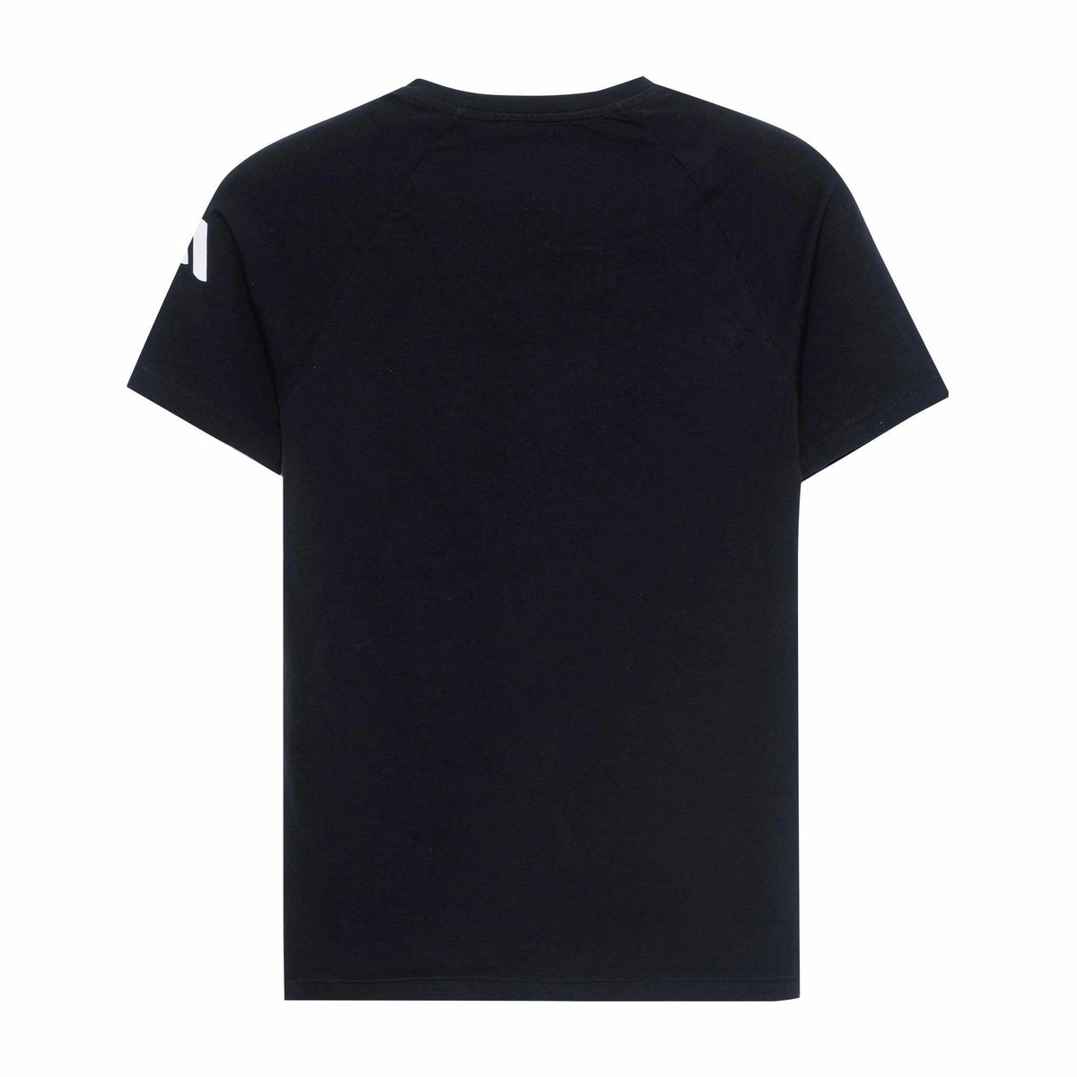 EMPORIO ARMANI LogoVT