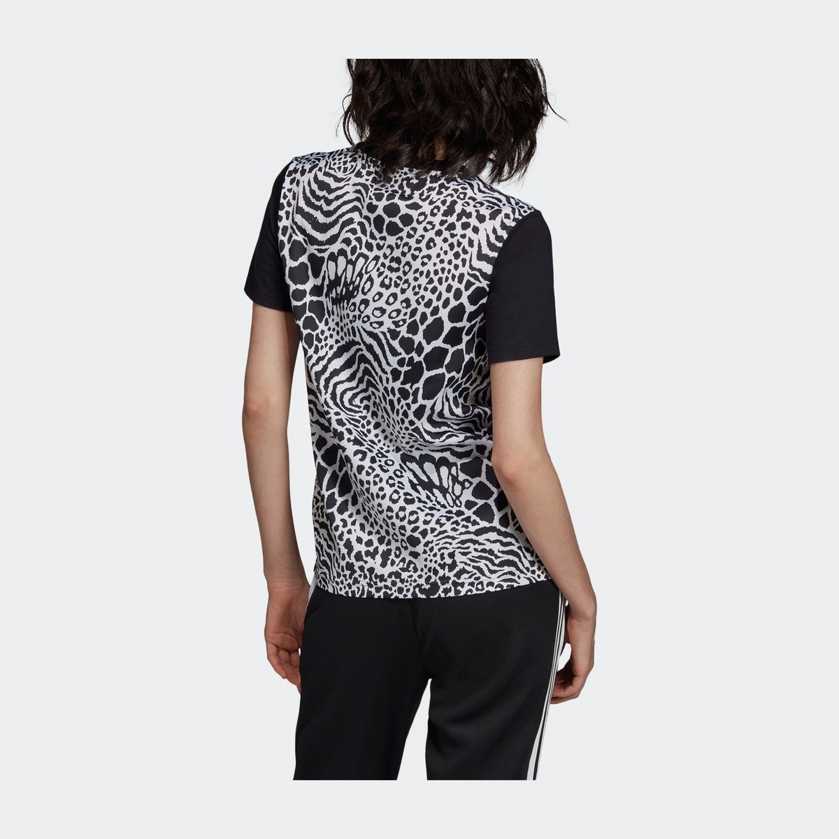 adidas originals Tshirt Graphic T