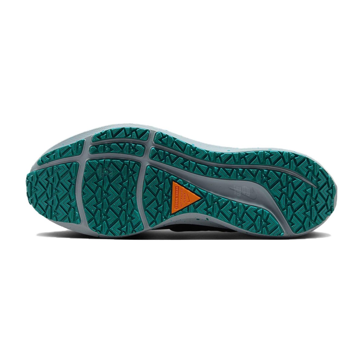 Nike Pegasus 39 Blue Orange Green