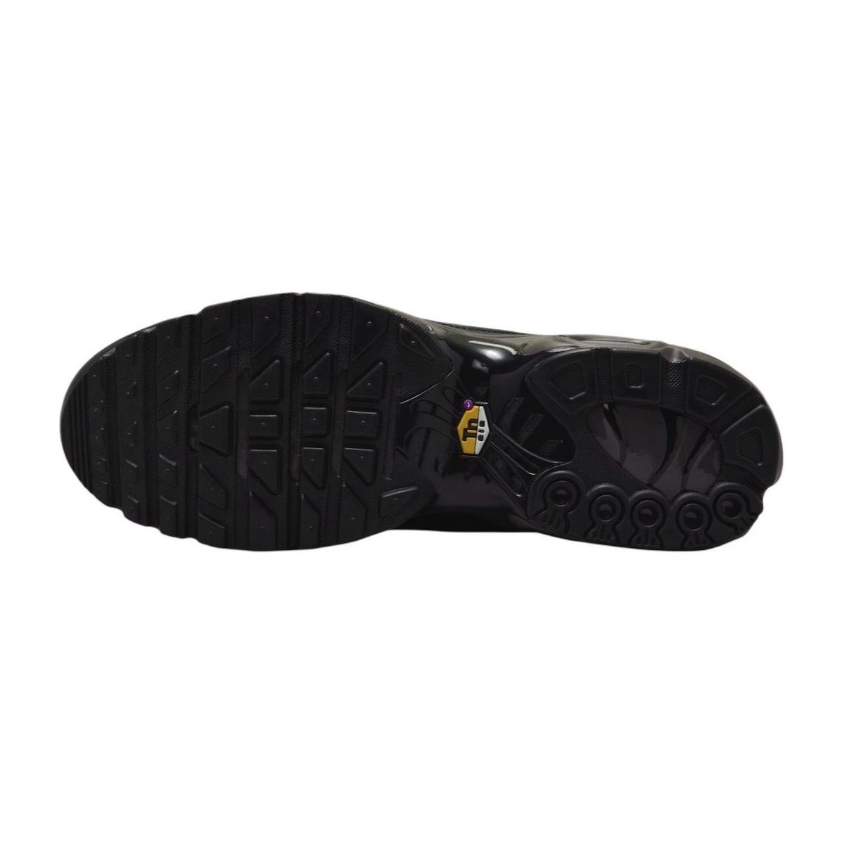 Nike Air Max Plus "Black Tea"