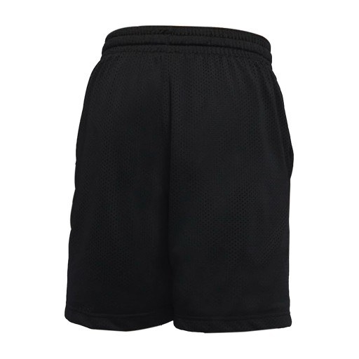 Nike Giannis Basketball Shorts Black