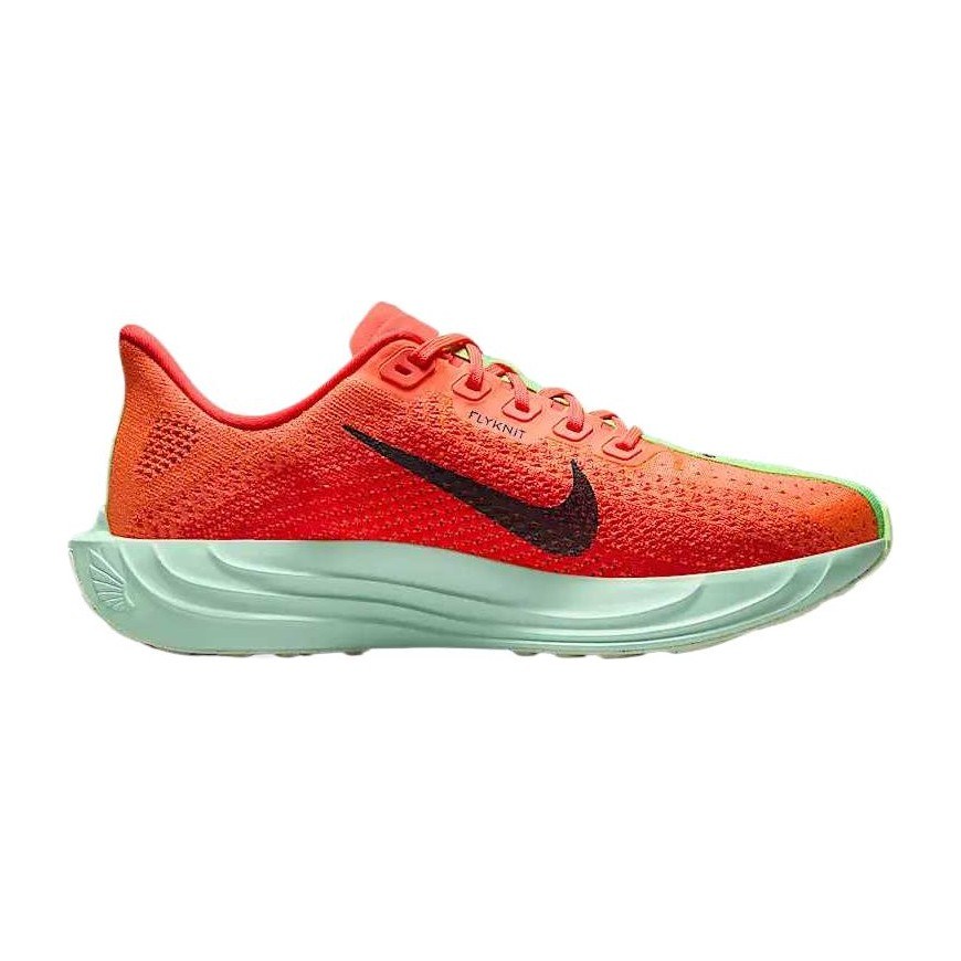 Nike Pegasus Plus Deep Red