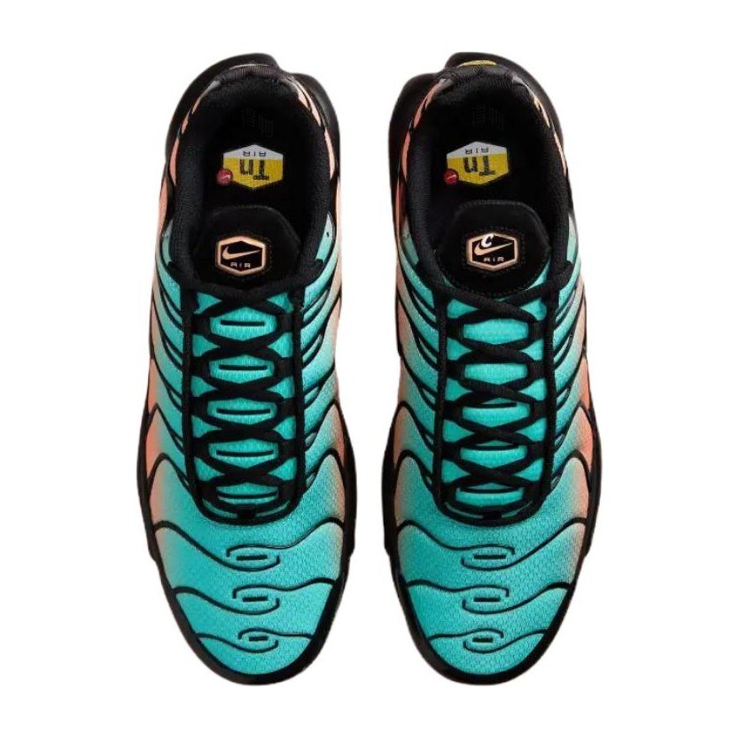 Nike Air Max Plus "South Florida"
